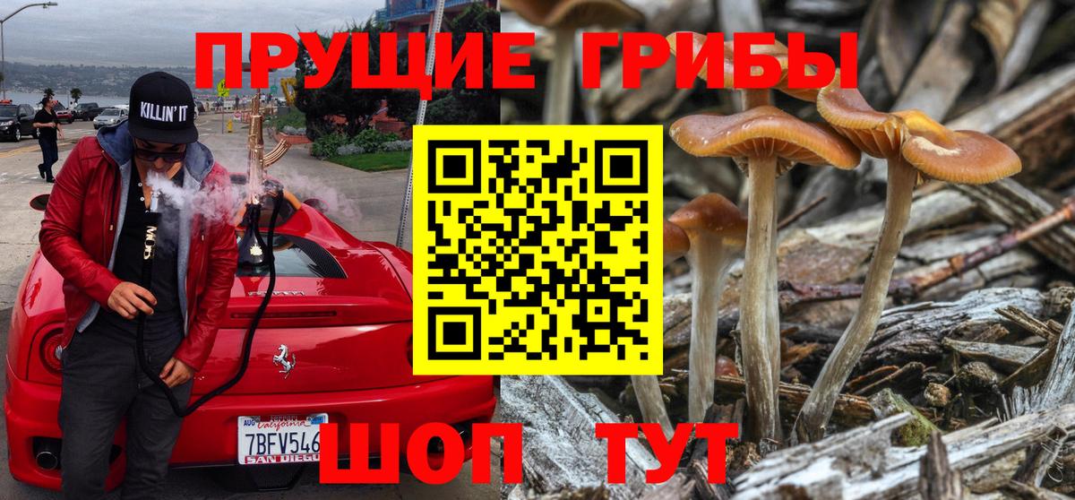 Стрежевой  Галлюциногенные грибы Magic Shrooms  Вход с VPN 