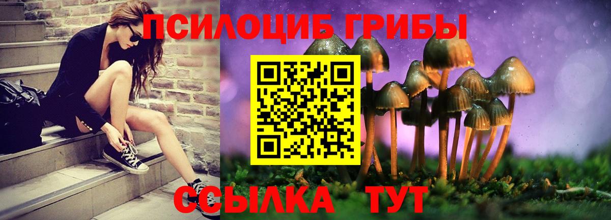 Псилоцибиновые грибы GOLDEN TEACHER Стрежевой
